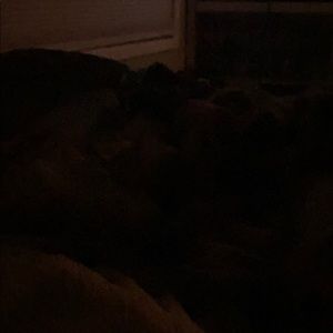 Meet your Posher, Katelyn